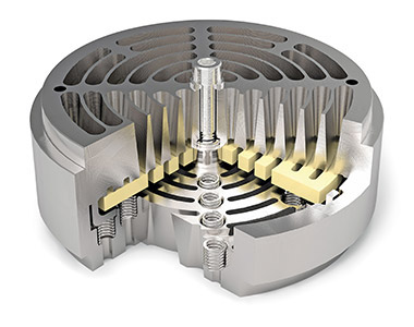 Ring Damped Valve cutaway